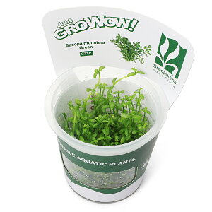 ijgD|{GROWOWI@oRp@jG@O[i_ji1Jbvj@kCEBq֗vۉ