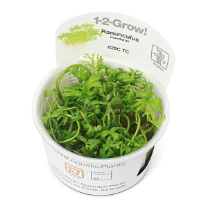 ijgD|{1|2|GROWI@kNX@Ck_^Xi_ji1Jbvj@kCEBq֗vۉ