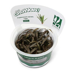 ijgD|{GROWOWI@NvgRl@XsX^CK[i_ji1Jbvj@kCEBq֗vۉ