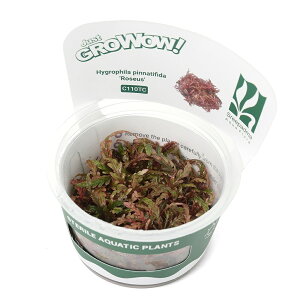 ijgD|{GROWOWI@nCOtB@sieBtB_@[EXi_ji1Jbvj@kCEBq֗vۉ