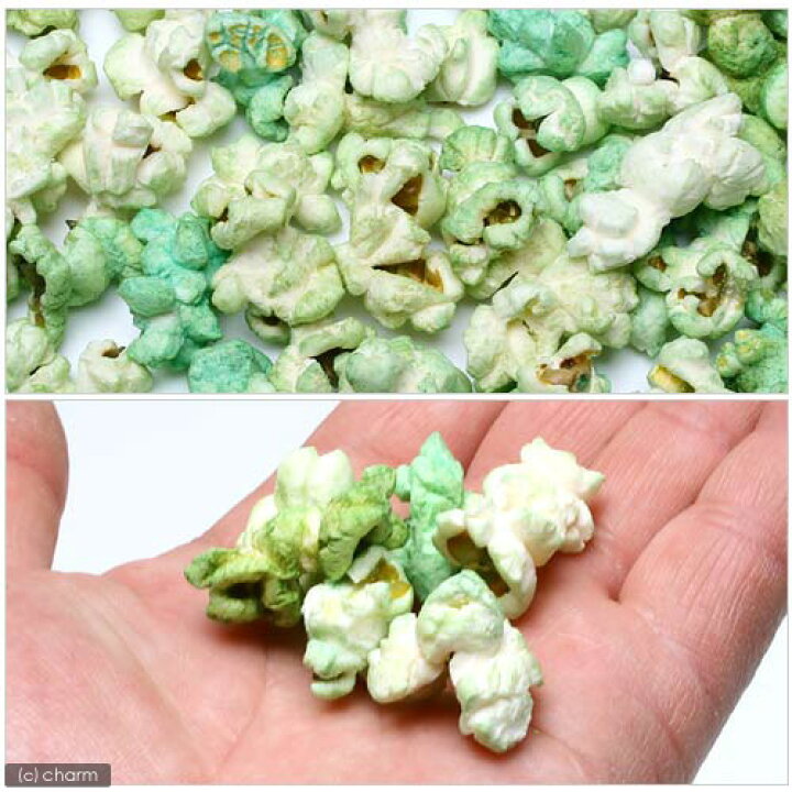 マルカン　ヤドカリポップコーン　野菜風味　１２ｇ　オカヤドカリ　フード　エサ　餌　関東当日便 | charm 楽天市場店