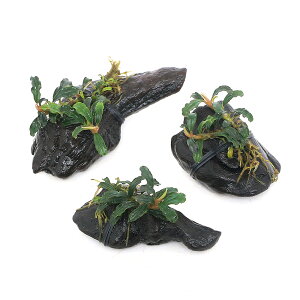 ijρ@uZt@hspDJvAXuEj[t؁@~jTCYi8cmȉjitji_ji1{j@kCEBq֗vۉ