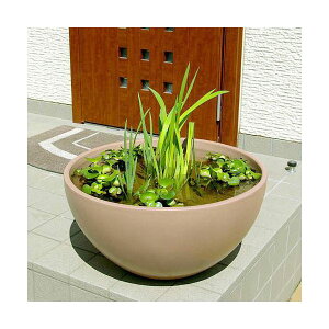 @@@i_Jj@z@RIN@ی^@CguE@M@@EE_J@֓