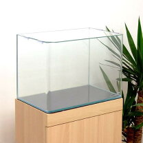楽天市場】600 450 450 ガラス水槽（水槽・アクアリウム｜熱帯魚 