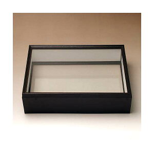 シーラ箱 (両面ガラスタイプ) 昆虫 標本用品 標本箱 関東当日便