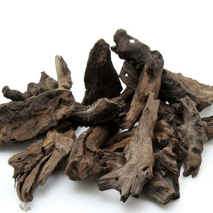 楽天市場 形状お任せ 煮込み済み 塊状流木 ｓサイズ 約１５ ２０ｃｍ １個 関東当日便 Charm 楽天市場店