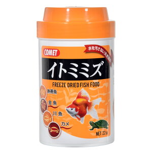 Rbg@Cg~~Y@22g@̂@̉a@֓