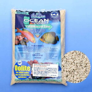 J~n^@JuV[@I[V_CNg@I[Cg@5lbsi2D25kgj@֓