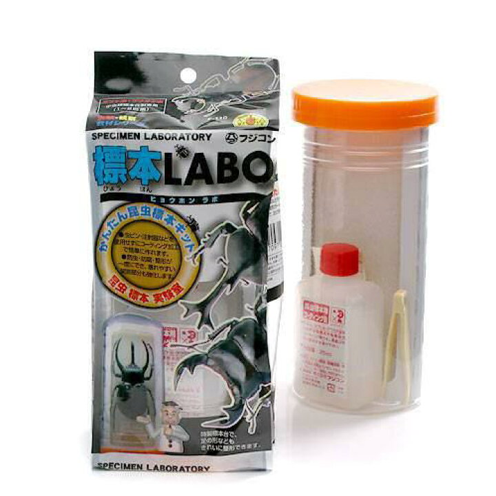 楽天市場 フジコン 標本ｌａｂｏ かんたん昆虫標本セット １ ２匹用 昆虫 標本用品 標本セット 関東当日便 Charm 楽天市場店