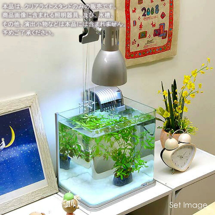 楽天市場 トゥービック クリアライトスタンドｌ 関東当日便 Charm 楽天市場店