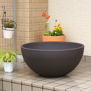 @@[J[@@i_Jjz@RIN@ی^@_[NuE@L@s