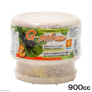 ①ێr@G|pot@X^Eg@900cc@1{@ʓrN[萔@퉷is