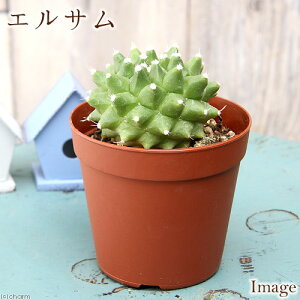 iAjfĔ@T{e@}~A@GT@3i1j