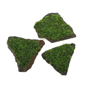 ijā@EB[XspDi[@XCXn΁@SSTCYi8cmȉjitji_ji1j