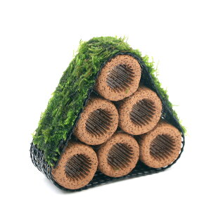 ijā@Ct}`ijEB[XspDi[@Re[Wijitji_ji1j