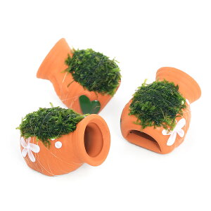 ijā@^Rc{~j~j@ăEB[Xitji_ji3j