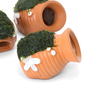 ijā@^Rc{~j~j@EH[^[tFU[itji_ji1j