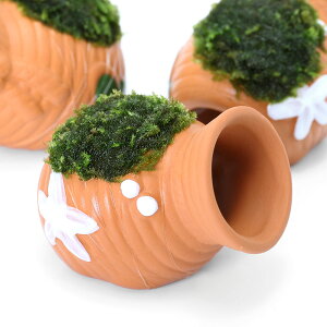 ijā@^Rc{~j~j@EB[XspDi[itji_ji1j