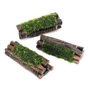 ijā@EB[XspDi[@Gritji_ji1j