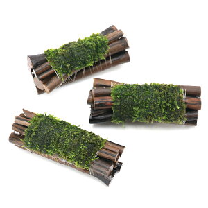 ijā@ăEB[X@Gritji_ji1j