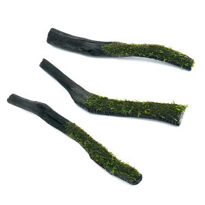 ijā@EB[X@YXeBbNi23cmjitji_ji1{j