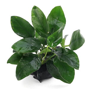 ijAkrAXii@؁@~jTCYi8cmȉjitji1j