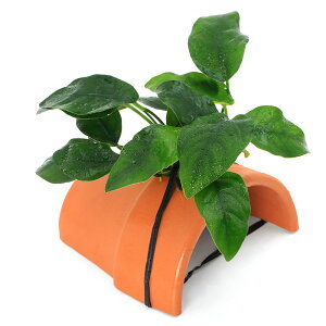 ijAkrAXiit@eRb^VF^[itji1j