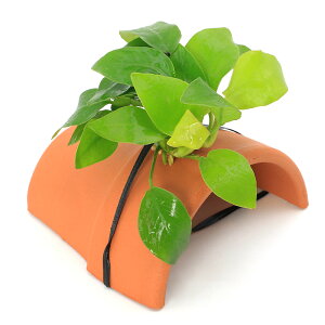 ijAkrAXii@S[ft@eRb^VF^[itji1j