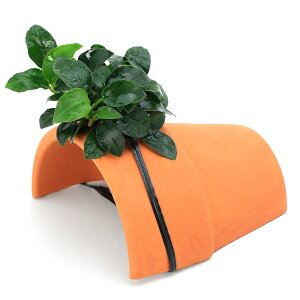 ijAkrAXii@v`t@eRb^VF^[itji1j