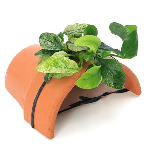 ijAkrAXii@t@eRb^VF^[itji1j