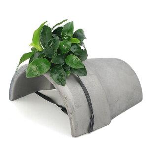 ijAkrAXii@v`t@eRb^VF^[@Ԃitji1j