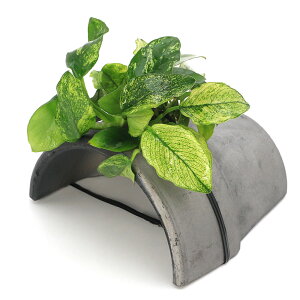 ijAkrAXii@t@eRb^VF^[@Ԃitji1j