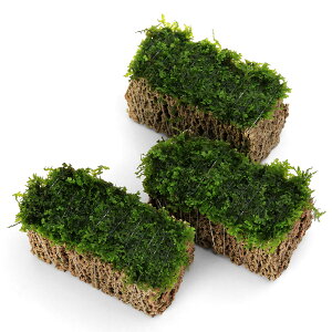 ijā@v~AO[X@TSUMIKIitji_ji3j