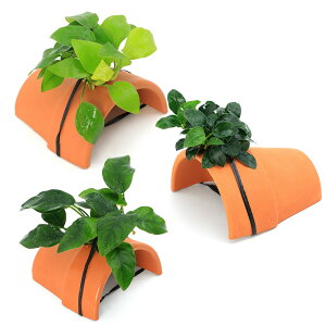 ijԂ̃AkrAX@ii3@eRb^VF^[itji1Zbgj