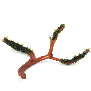 ijā@nlSPspDJ[Y@}󗬖STCYi10cm`jitji_ji1j