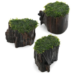 ijā@v~AO[X@؂芔؁@~jTCYitji_ji1j