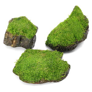 ijā@VA@R΁@STCYi10cmjitji_ji1j@kCEBq֗vۉ