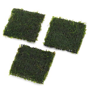 ijā@EB[X@n[tNbVitji_ji1j