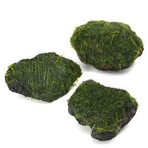 ijā@EH[^[tFU[@n΁@STCYi10cmjitji_ji3j