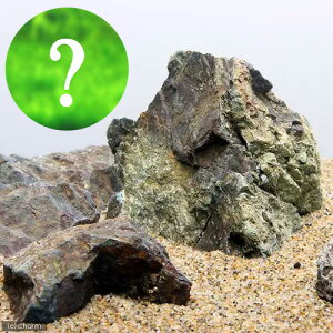 ijCAEgfސZbgVerDR΁i܂Oi@3ji1Zbgj