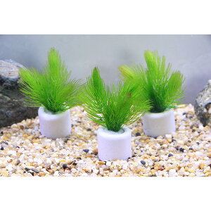 ij}`OzCgij@}c@v`i_ji5j_J@@򉻁@Y