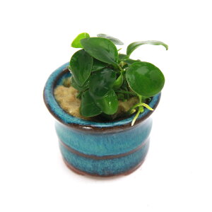 ijgD|{@AkrAXii@itji1j