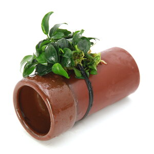 ijAkrAXii@v`@yǁijitji1j