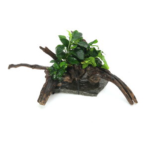 ij_@ā@AkrAX2t؁itji1ji461727j