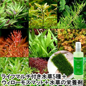 ijSҌ@uŃCAEgI@Ă₷@Ct}`ijZbgitj_@h{ܕt@t@ANAE