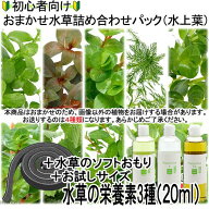 （水草）初心者向け　おまかせ水草詰め合わせパック　4種（計40本）＋おもり＋栄養素3種お試しサイズ（3…