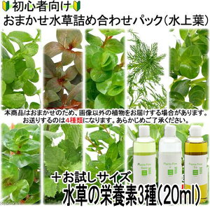 ijSҌ܂lߍ킹pbN@4iv40{j{h{f3킨TCYitji_ji1pbNj