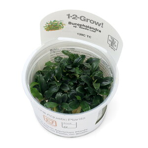 ijgD|{1|2|GROWI@uZt@hspDj[h[ti1Jbvj@kCEBq֗vۉ