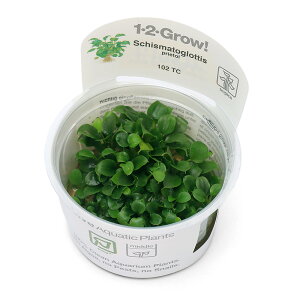 ijgD|{1|2|GROWI@XLX}gObeBX@vGgCi1Jbvj@kCEBq֗vۉ