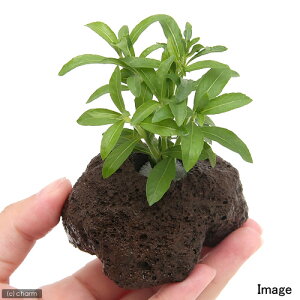 ijnCOtB@oT~JitjnΕti_ji1j